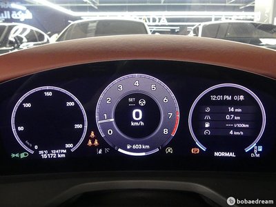 PORSCHE PANAMERA - 8