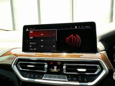 صورة مصغرة 33 لـ 2022 BMW X4
