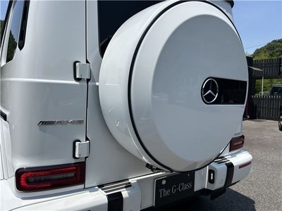 2024 Mercedes-BENZ G-CLASS AMG — миниатюра 49