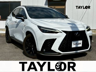 LEXUS NX - 1