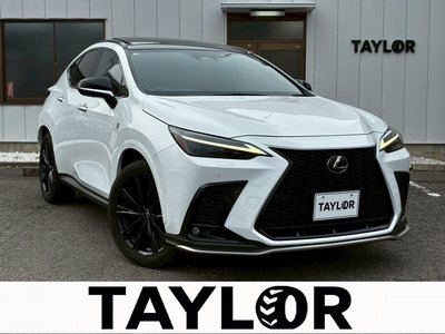 LEXUS NX - 2
