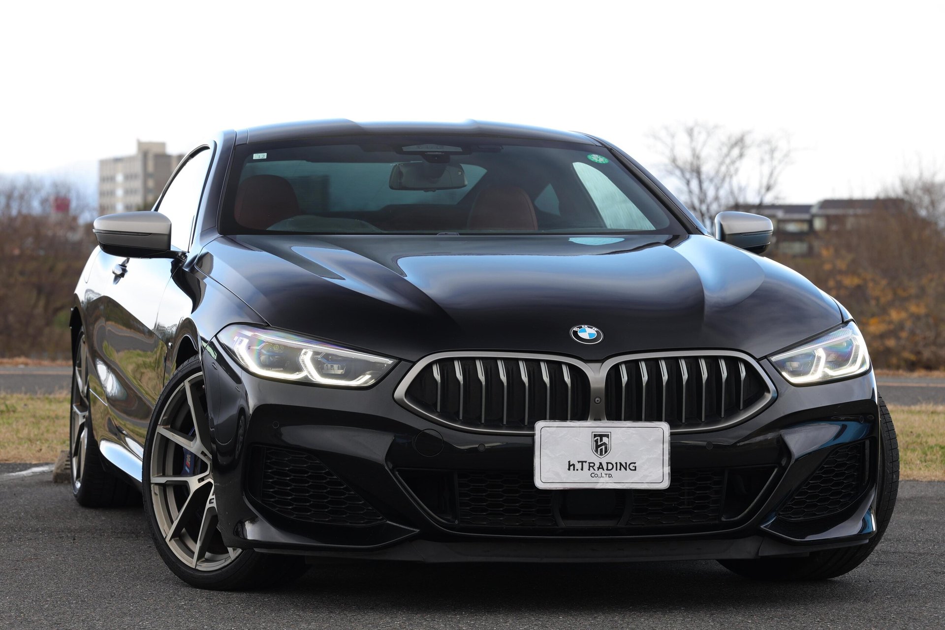 BMW 8 SERIES - View 1