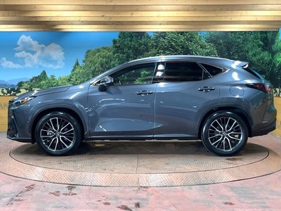 2023 Lexus NX — миниатюра 62