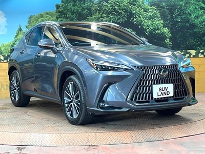 2023 Lexus NX — миниатюра 59