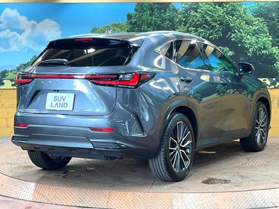 2023 Lexus NX — миниатюра 17