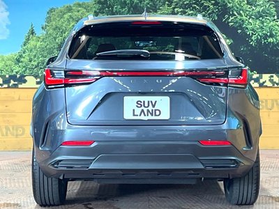 2023 Lexus NX — миниатюра 15
