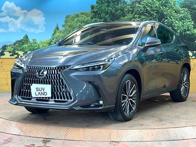 2023 Lexus NX — миниатюра 16