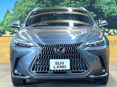 2023 Lexus NX — миниатюра 14