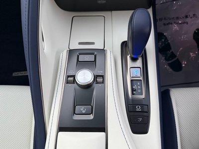 2023 Lexus LC 缩略图 44