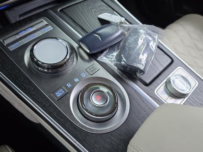 GENESIS GV80 - 9