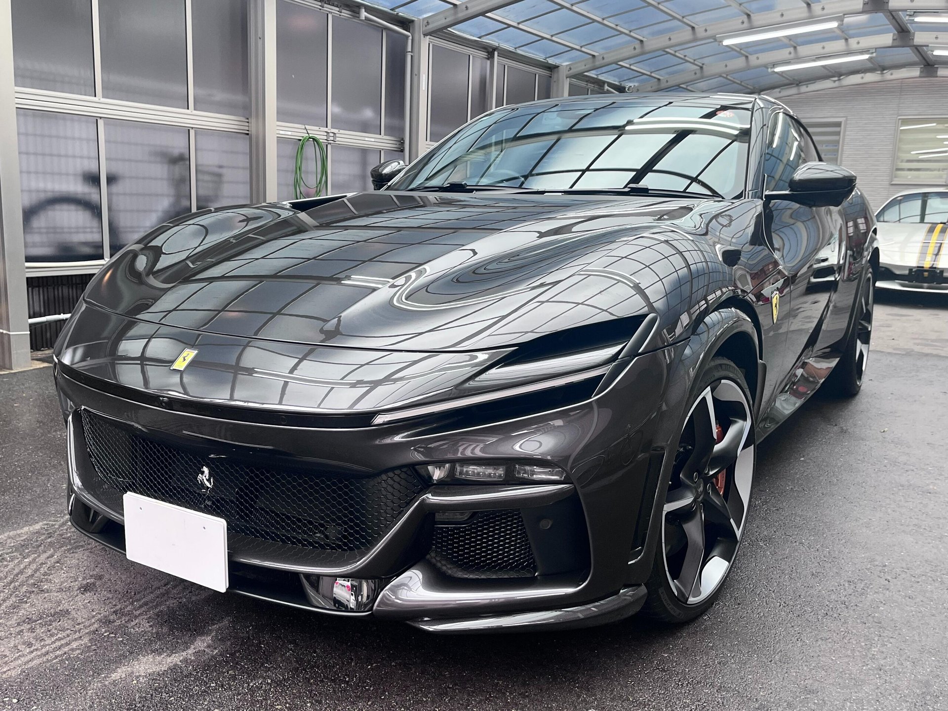 FERRARI PUROSANGUE - View 1