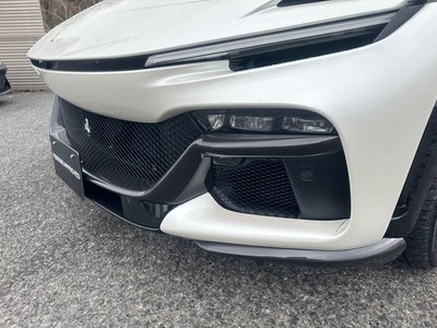 FERRARI PUROSANGUE - 6