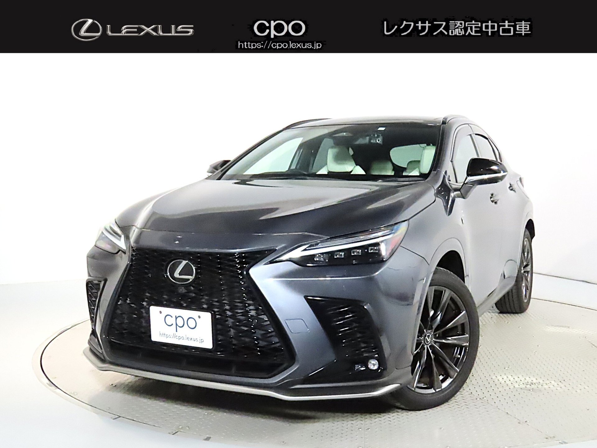 LEXUS NX - View 1
