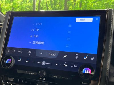 2024 TOYOTA ALPHARD thumbnail 46