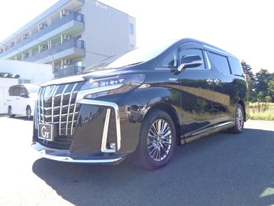 TOYOTA ALPHARD - 1