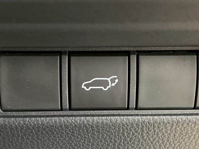 2024 Toyota LAND CRUISER 250 photo 9