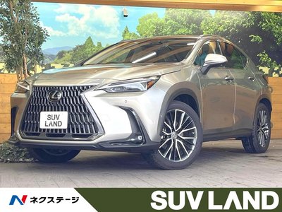 LEXUS NX - 1