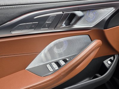 2022 BMW 8 SERIES 缩略图 25