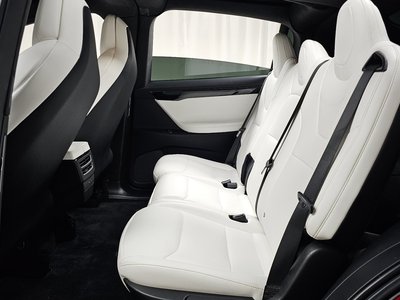 2019 Tesla MODEL X thumbnail 18