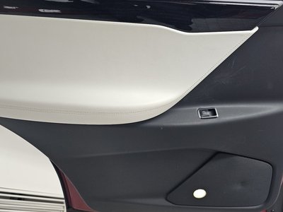 2019 Tesla MODEL X thumbnail 15