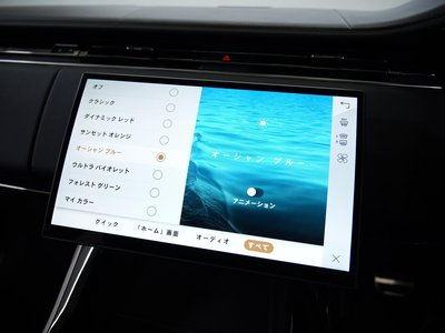 2024 LAND Rover RANGE ROVER SPORT 缩略图 44