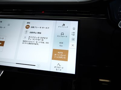 2024 LAND Rover RANGE ROVER SPORT 缩略图 40
