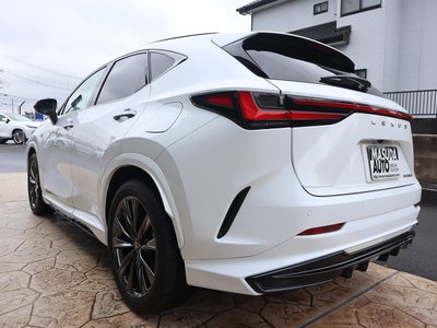 2023 Lexus NX 照片 5