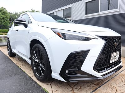 2023 Lexus NX 照片 3