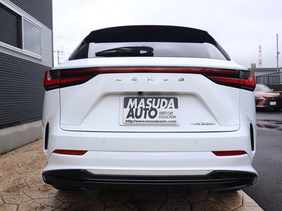 2023 Lexus NX 照片 6