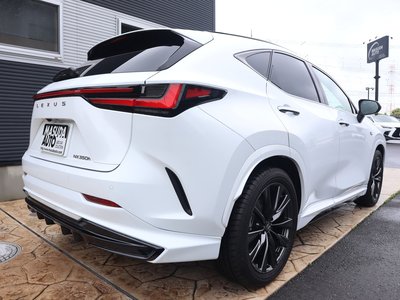 2023 Lexus NX 照片 7