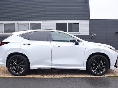 2023 Lexus NX 照片 4