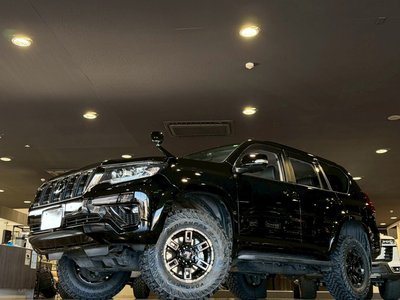 TOYOTA LAND CRUISER PRADO - 2