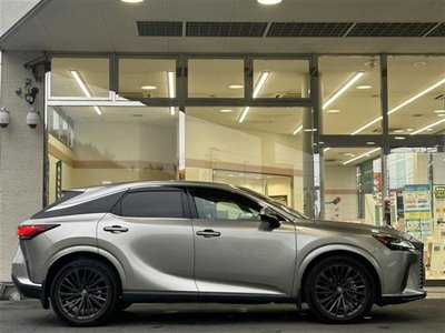 2023 Lexus RX 缩略图 40