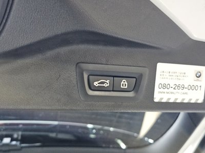 2021 BMW X5 缩略图 31