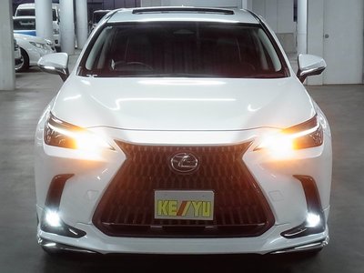 2022 Lexus NX photo 9