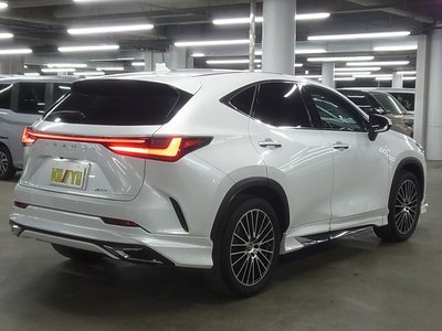2022 Lexus NX photo 6