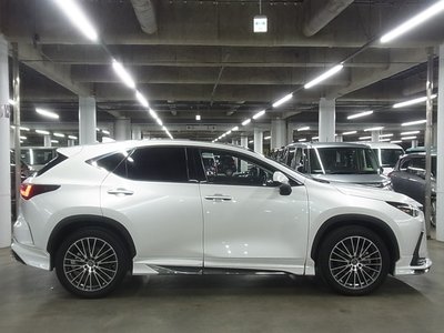 2022 Lexus NX — миниатюра 12