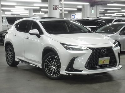 2022 Lexus NX photo 8