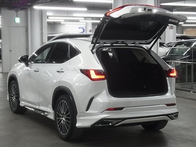 2022 Lexus NX — миниатюра 22