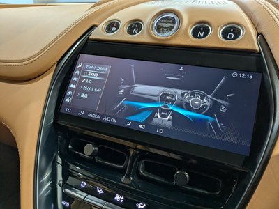 2021 Aston Martin DBX — миниатюра 28