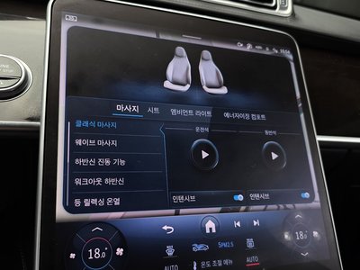 2021 Mercedes-BENZ S-CLASS — миниатюра 20