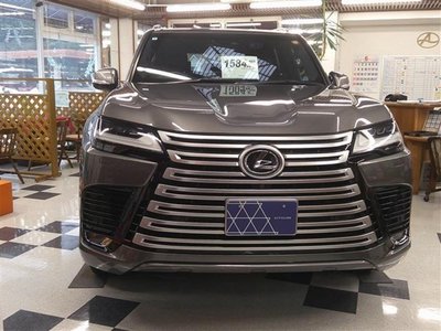 2022 Lexus LX 缩略图 30