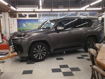 2022 Lexus LX 缩略图 28