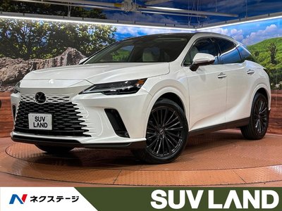 LEXUS RX - 1