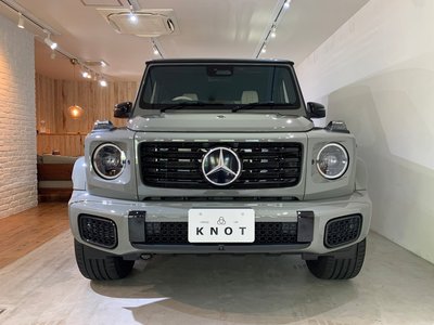 2025 Mercedes-BENZ G-CLASS — фото 2