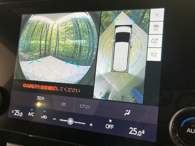 TOYOTA ALPHARD - 5