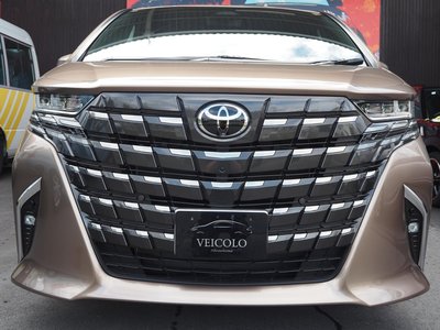 2025 Toyota ALPHARD — миниатюра 15