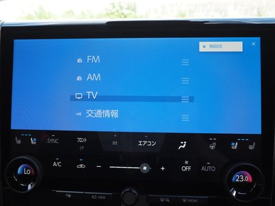2025 Toyota ALPHARD — миниатюра 44