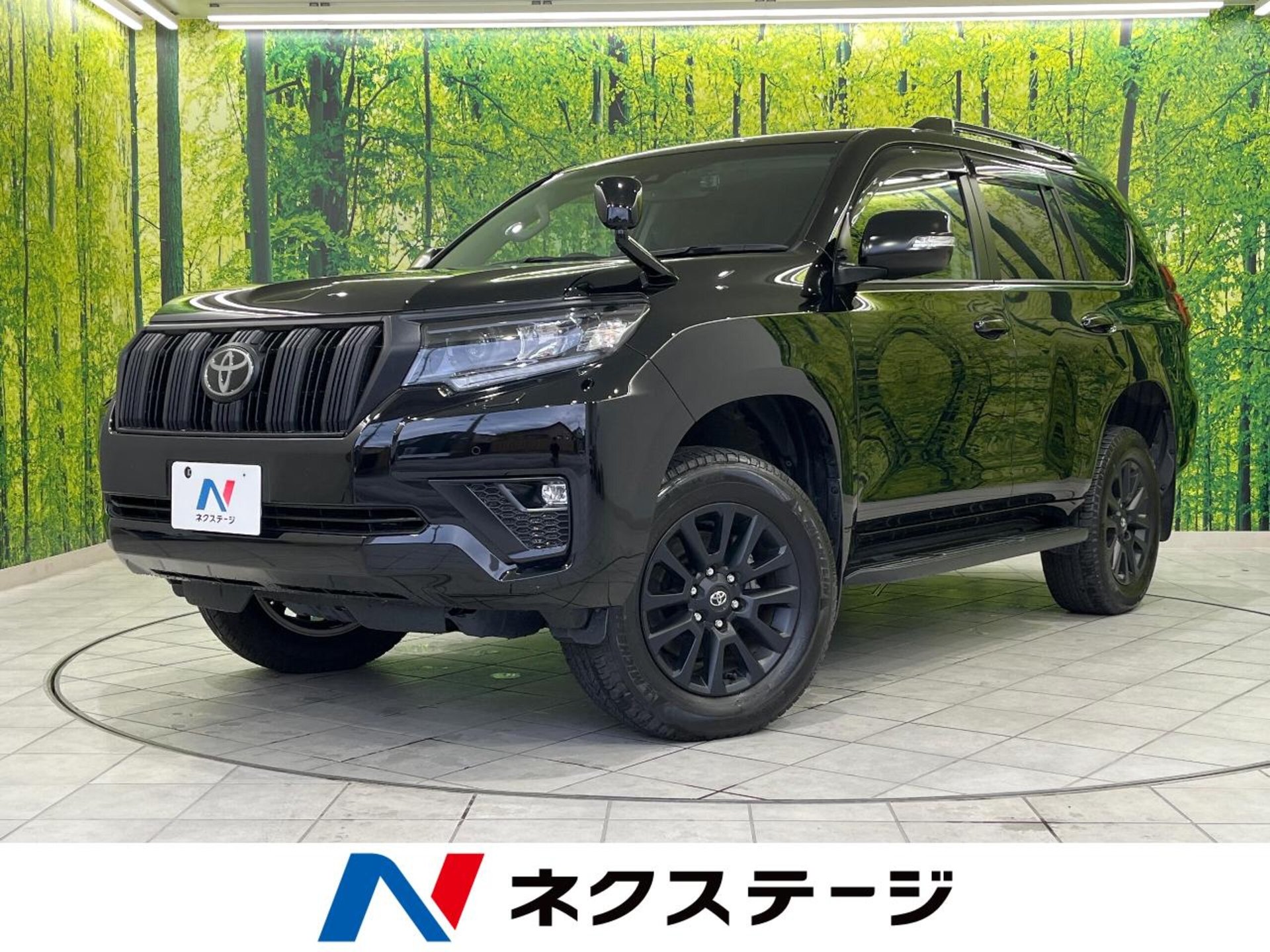 TOYOTA LAND CRUISER PRADO - View 1