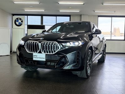 BMW X6 - 1